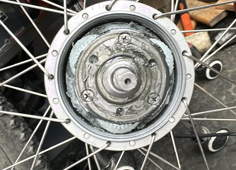 Close-up of a bicycle wheel hub showing grease applied during internal gear maintenance.