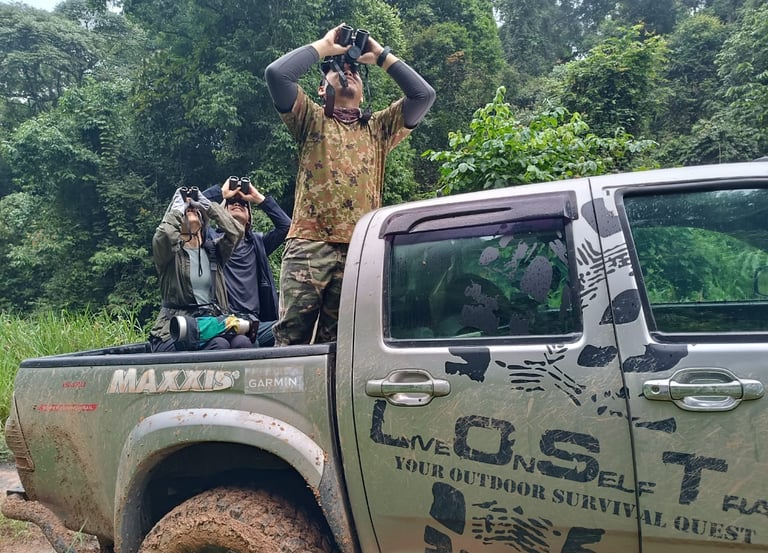 a man in camouflage gear is observing wild orang utan with two traveller 