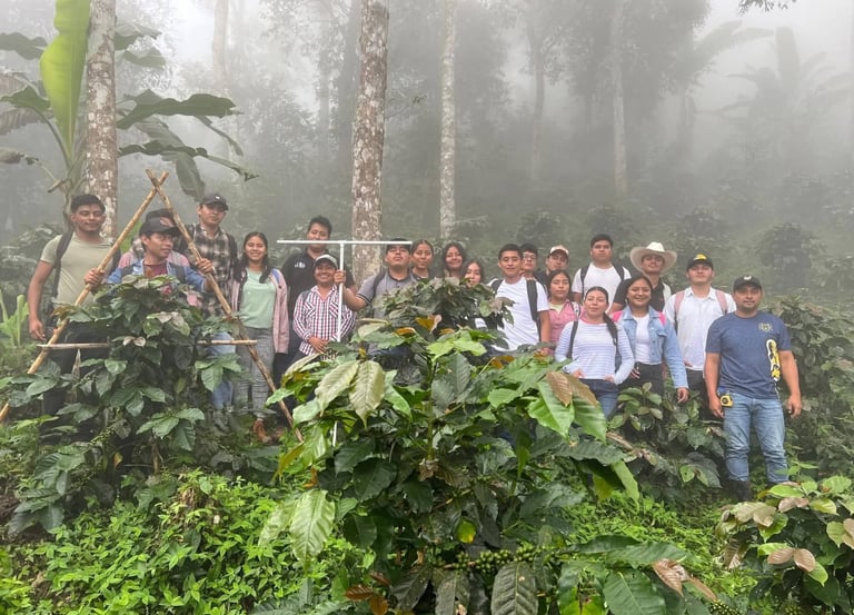 Un grupo de jóvenes agrónomos posando en una plantación de café verde envuelta de neblina