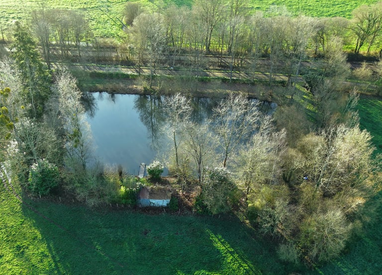 Vue aérienne d'un étang pittoresque en pleine campagne, entouré d'arbres en hiver et de champs verdo