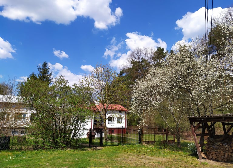 A house with a red roof and a white walls in spring