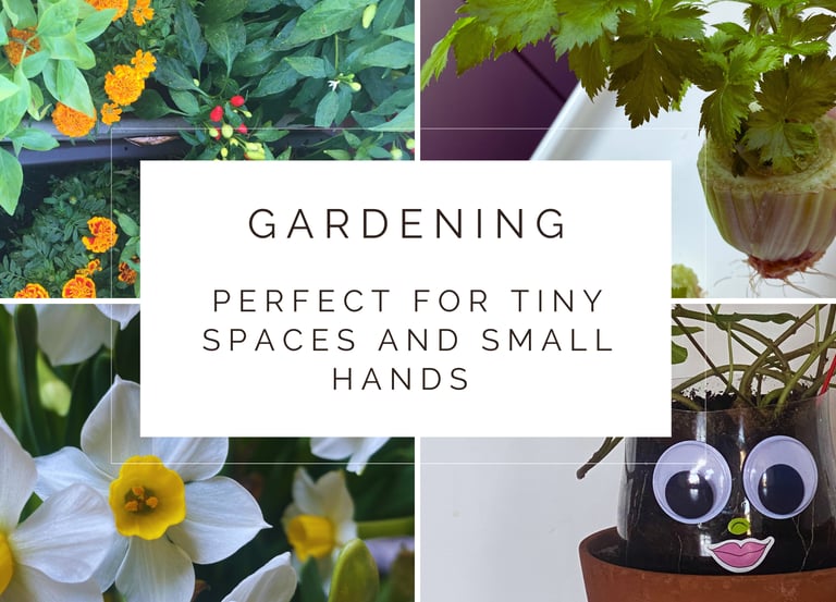Gardening workshop | Elite Helper Academy 