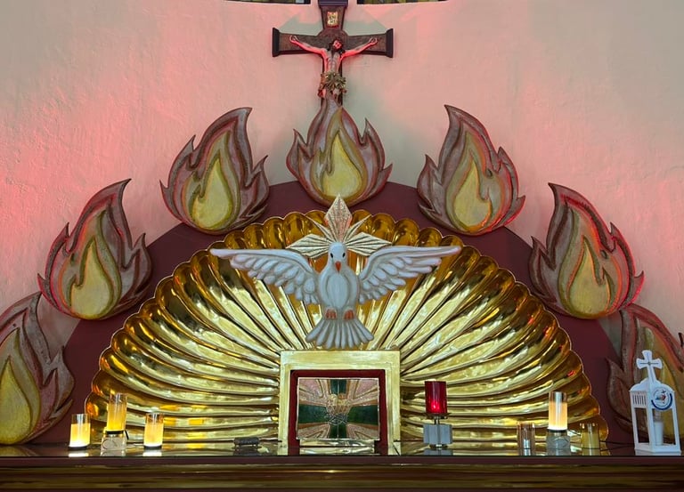 comunidad de el señor de las maravillas