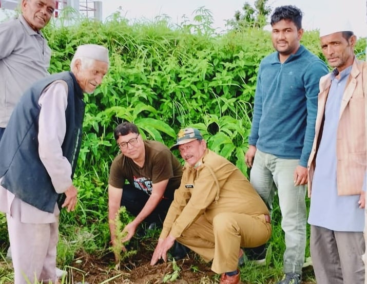 Plantation agency in India