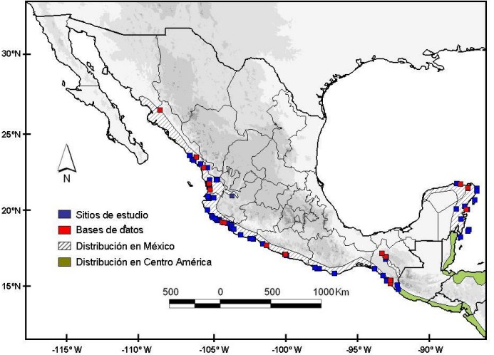 Distribución de C. acutus en México