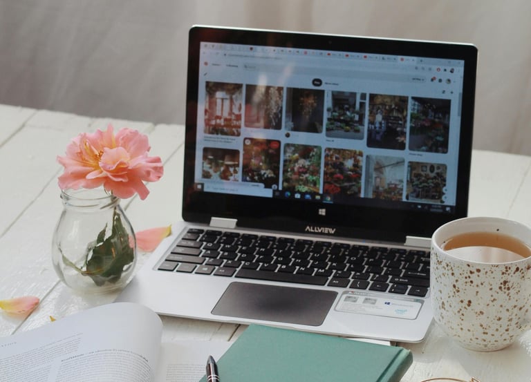 Ziyabar Growth Hub's offerings