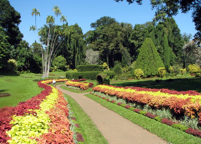 botanical garden of peradeniya