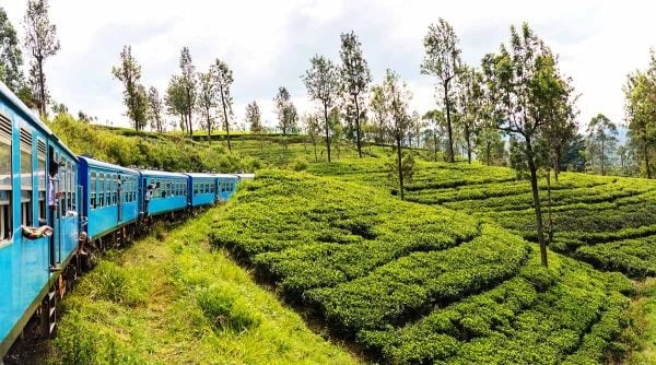 Ella Train Ride