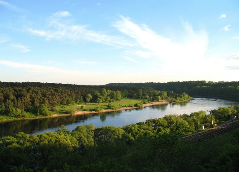 Panemunė, Kaunas
