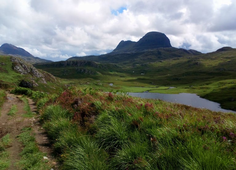 Natural capital