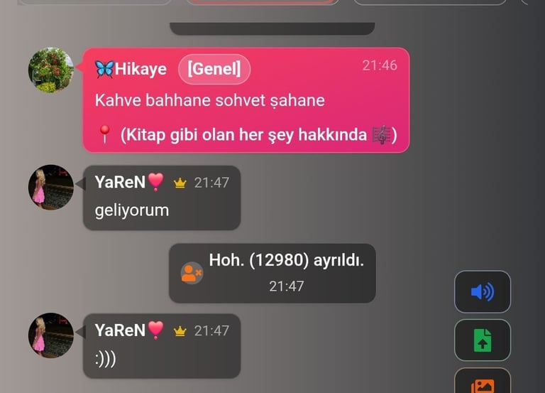seslidunya destek