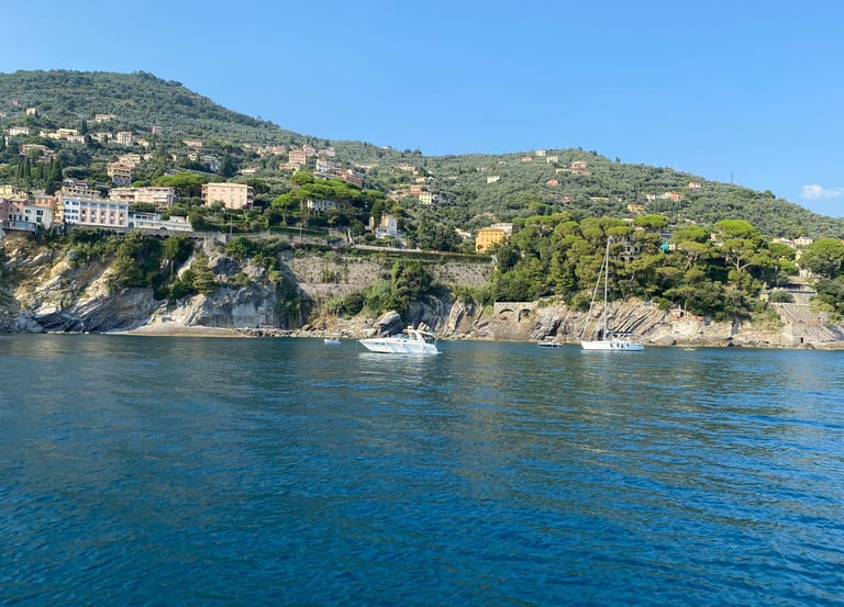 Private boat tour along the coast of the Gulf of Tigullio