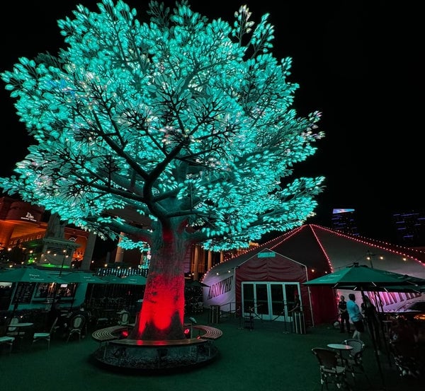 a tree with a green tree in the middle of it