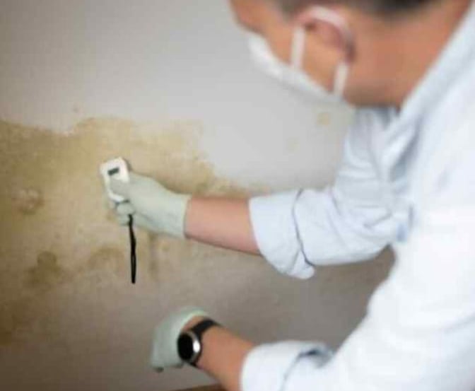 MoldWarden Basic Mold Inspection, Carlsbad, Vista, Oceanside