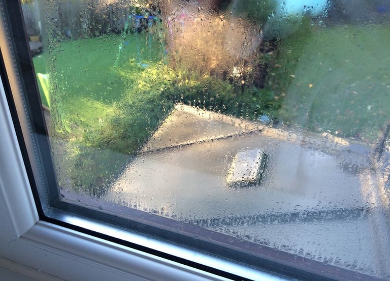 misted sealed unit in window