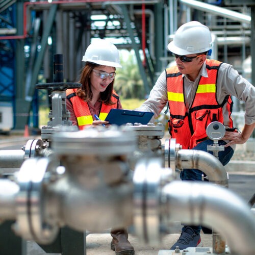 Stainless steel flanges, valves