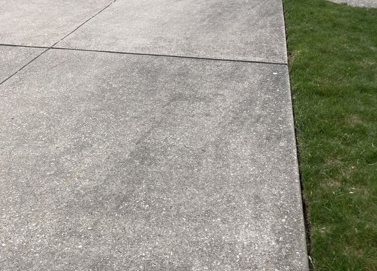 Cleaning black algae stains on concrete driveway in Orland Park