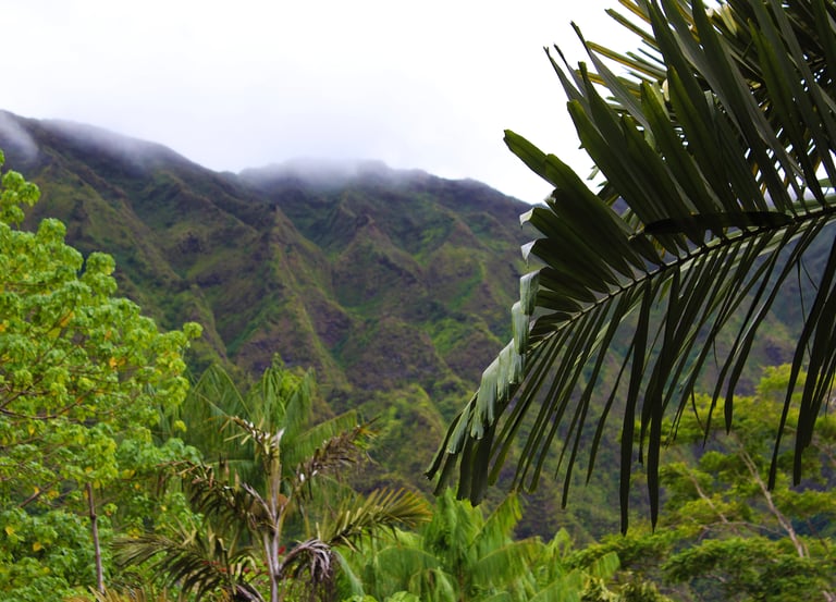 Ho’omaluhia Botanical Garden, Hawaii