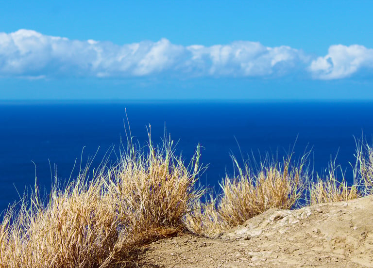 Diamond Head Crater, Honolulu