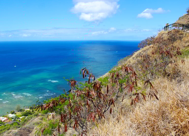 Diamond Head Crater, Honolulu