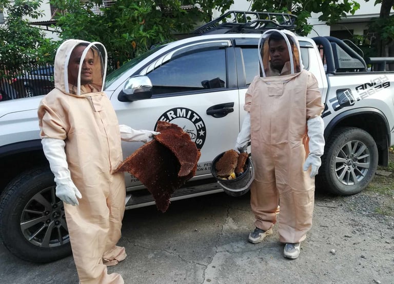 Professional pest control experts in protective bee suits holding a large honeycomb and hive next to a service truck.