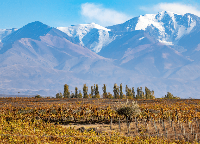 Visa Requirements and Entry Rules for Mendoza, Argentina