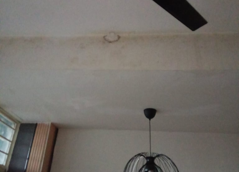 Moldy ceiling downstairs caused by poor waterproofing upstairs