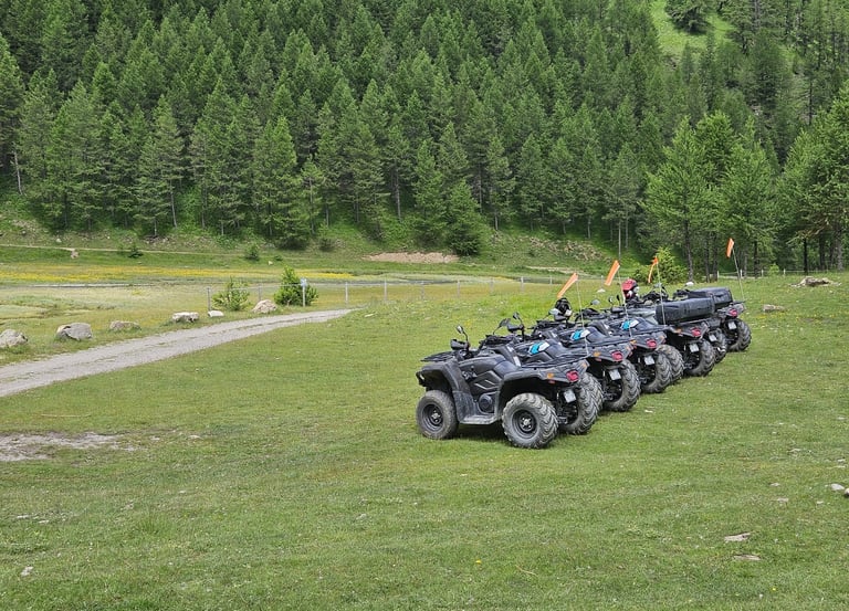 Prestations Nunchi Adventure