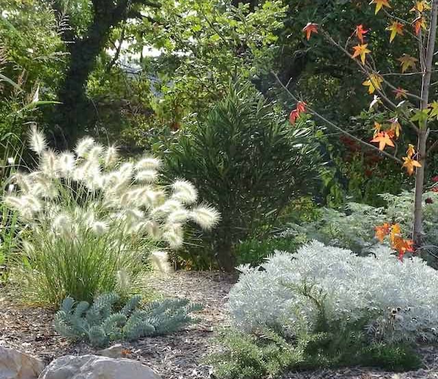 jardin paysagé penisetum viravira meublé de tourisme confort et lumière
