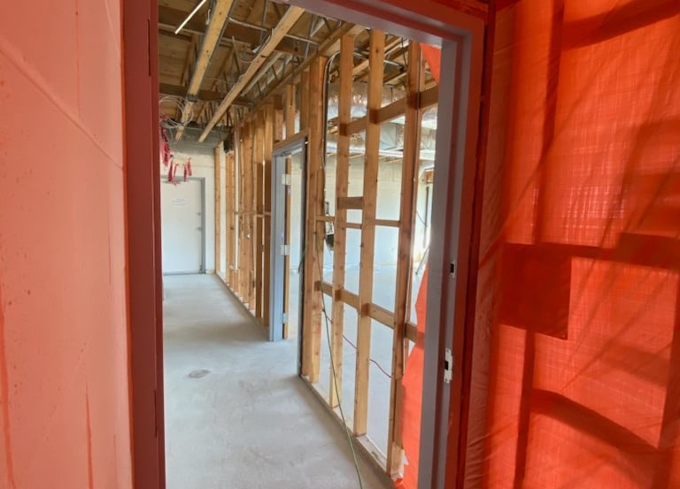 Asbestos Containment and wood framing