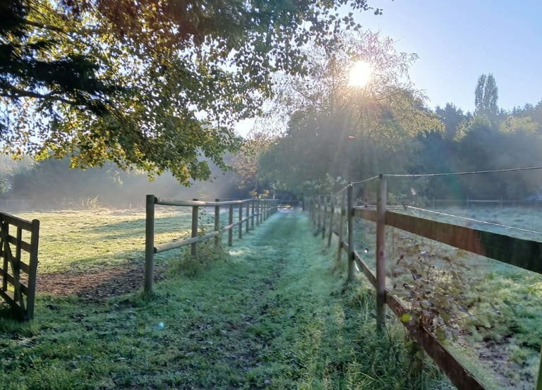 paddocks academie equestre du miroir