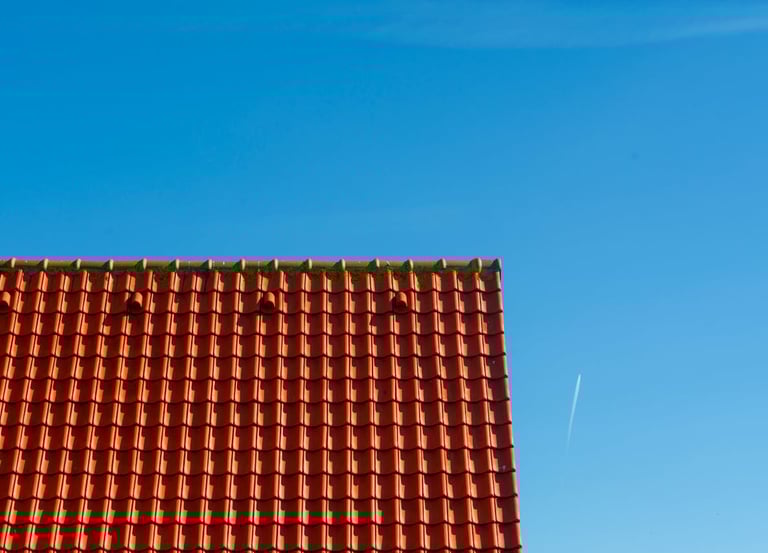 Nettoyage toiture tuiles Toulouse - Cazes Rénovation