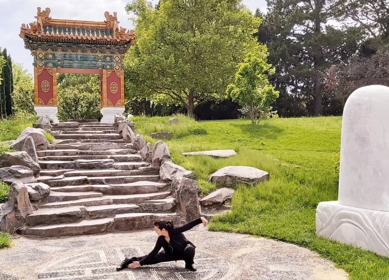 taichi strength softness flexibility