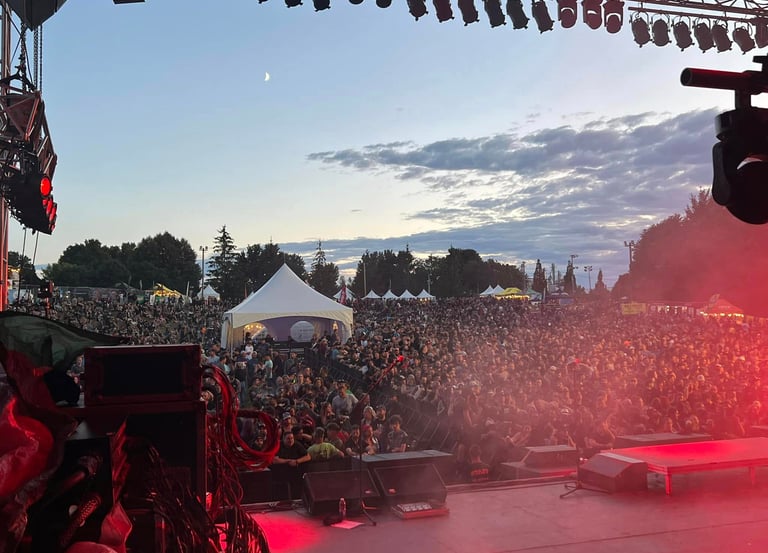 Crowd of fans at an outdoor music festival concert during a sunset with stage lighting.