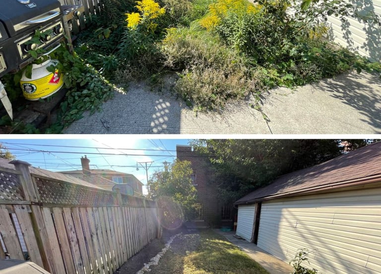 Our professional landscaping team performing full property revitalizing services in Ontario