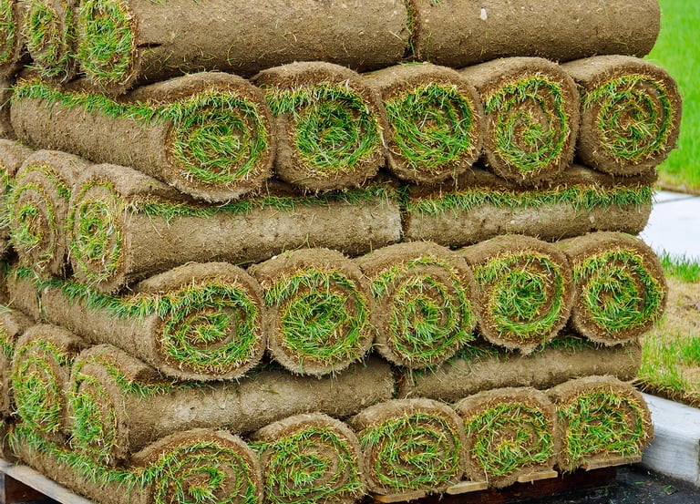 Rolls of premium sod stacked and ready for installation