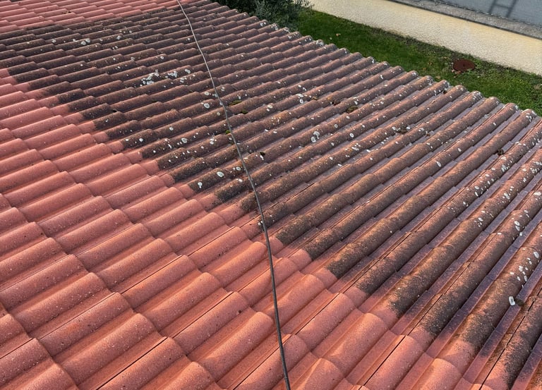 demoussage toiture lyon