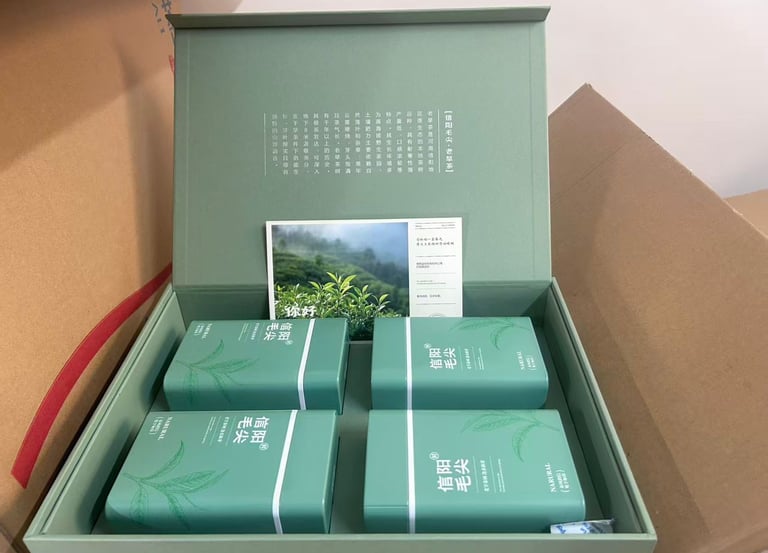 Xinyang Maojian green tea leaves