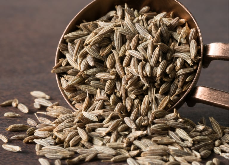 a scooper of seeds in a measuring spoon