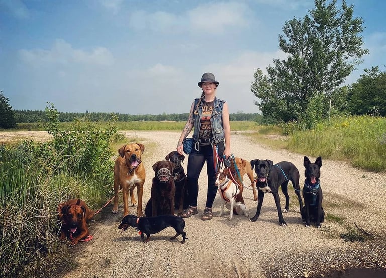 Nora von Cani Crew Leipzig - Dogwalking 