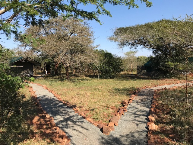En suite safari tent sites with private kitchens at Albizia tented camp in Hluhluwe