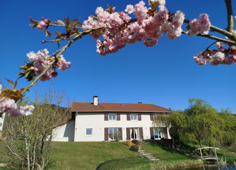 Maison avec fleurs de printemps