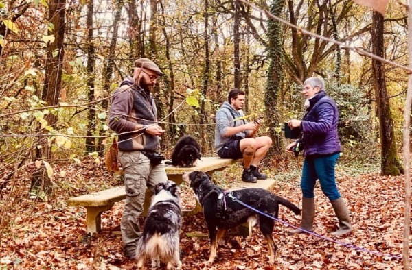 éducateur canin avec des chiens et leurs maitres en forêt