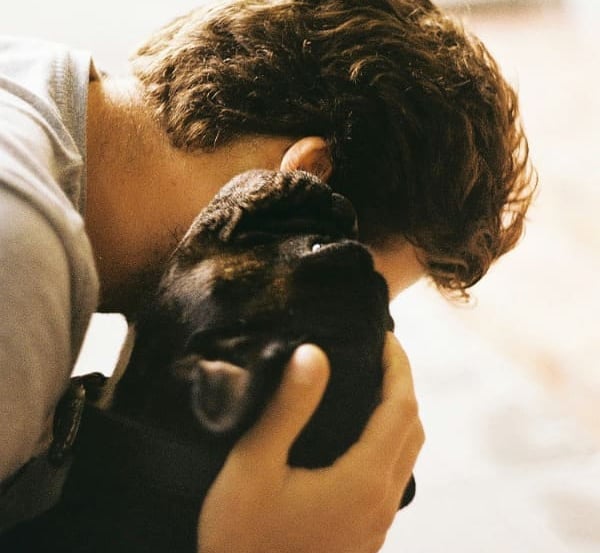 un chien et un humain font un câlin