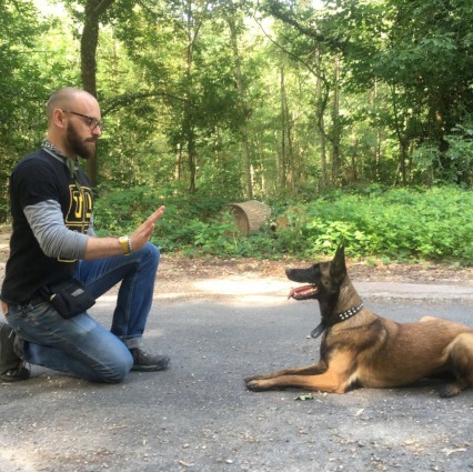 Éducateur canin qui travaille avec un malinois