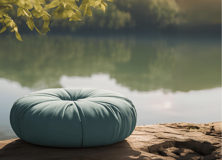a round pillow on a rock in the middle of a lake