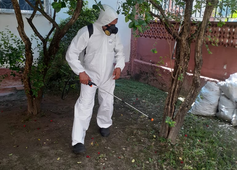 dedetizador especializado aplicando o produto