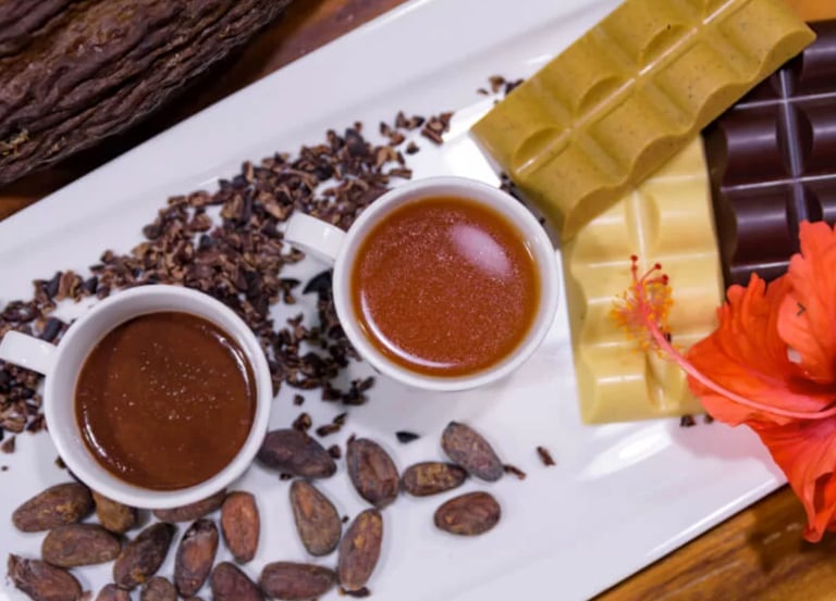 small cups of sipping chocolates and hand-crafted Costa Rican chocolate bars from Reina's