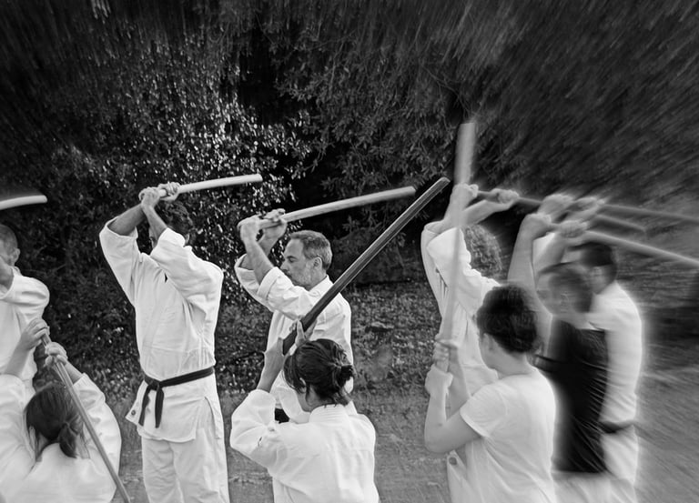 Tecniche avanzate di Aikido col bokken
