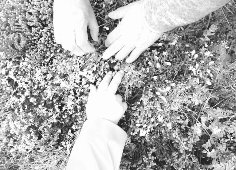 fotografia de manos de personas tocando hierba patagónica